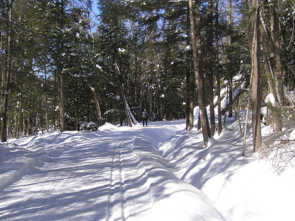 skiing-header