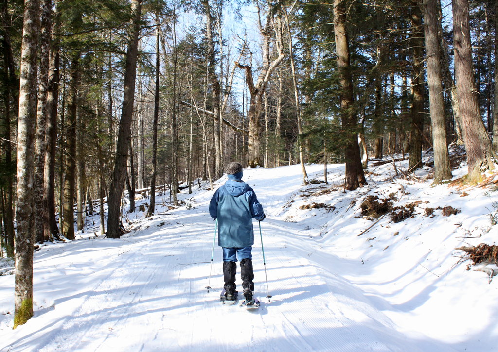 snowshoeing on the hardwick trails