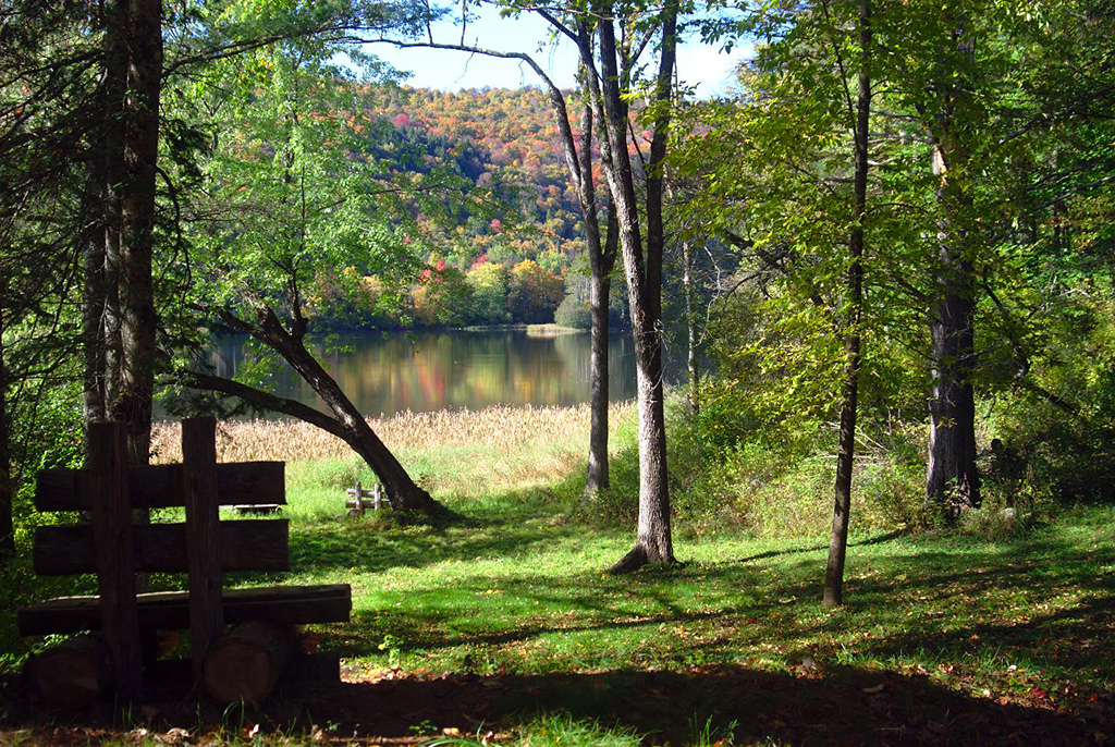 hardwick-lake-bench