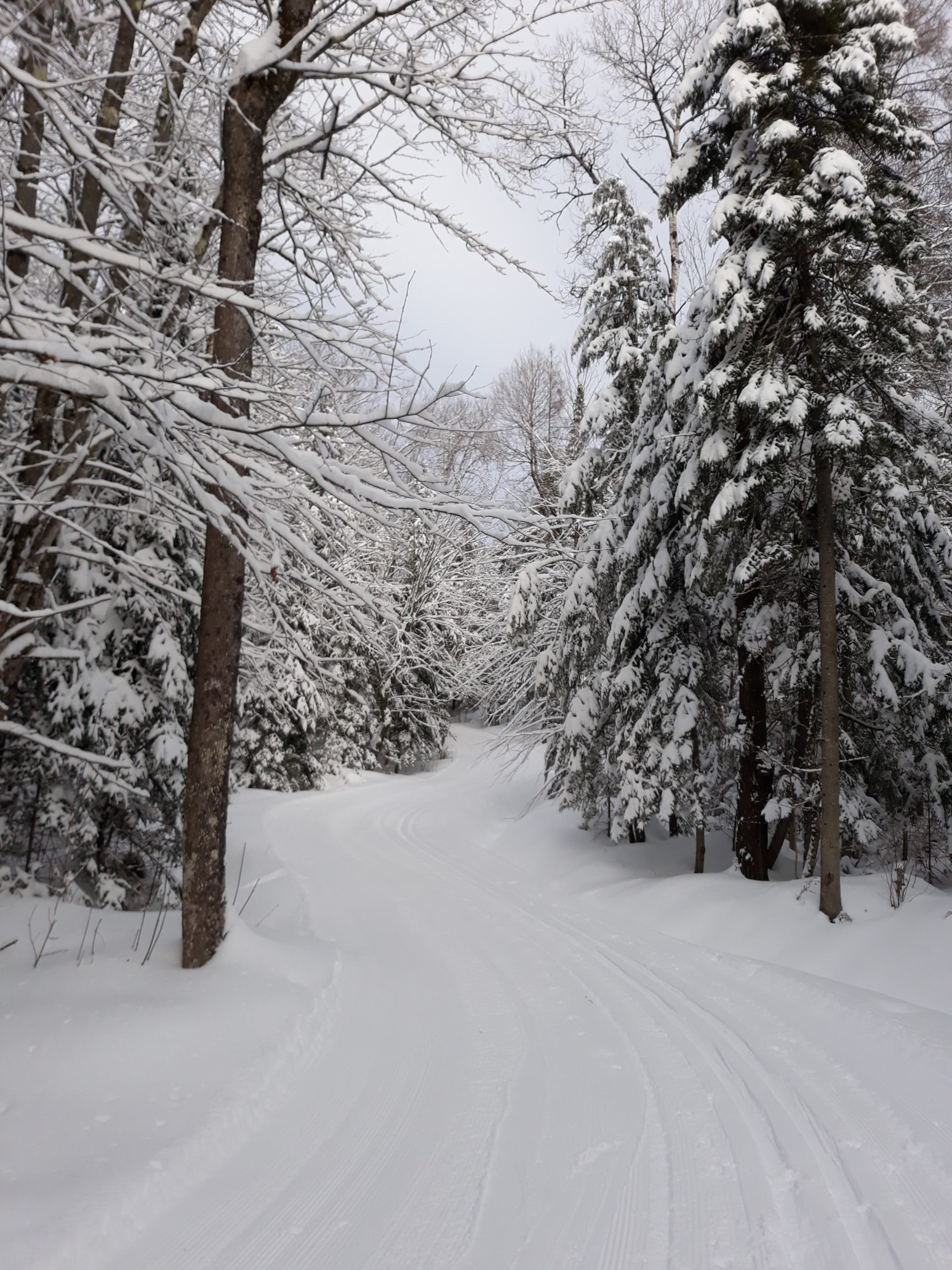 Winter Trails in Perfect Condition!