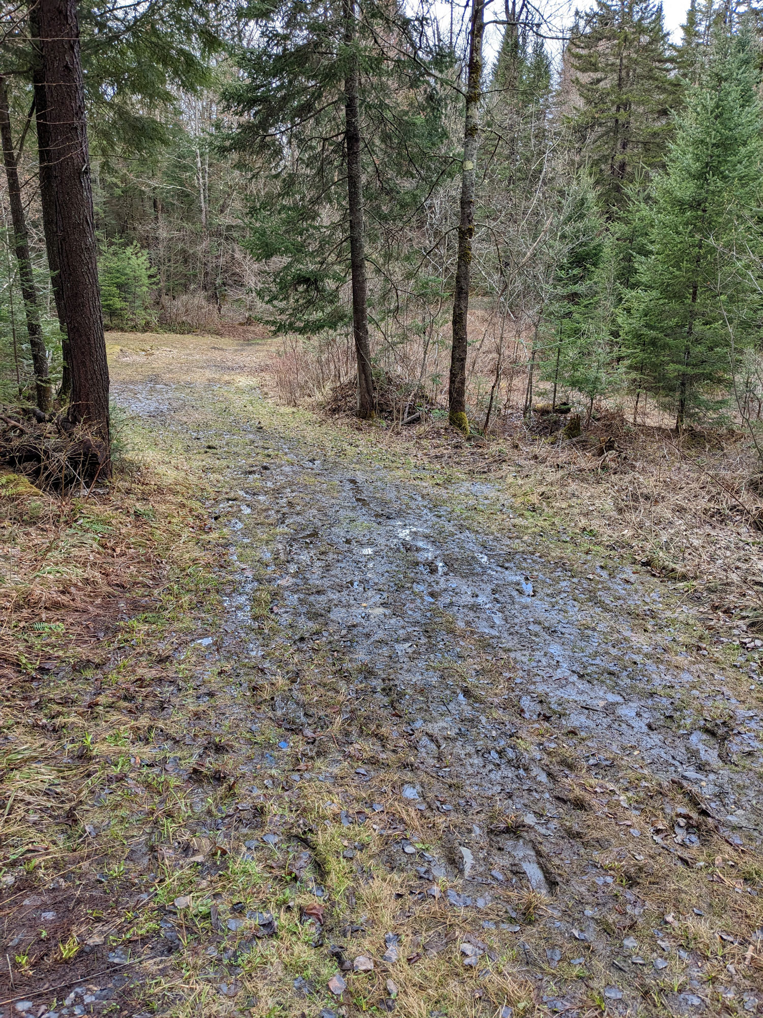 wet trail