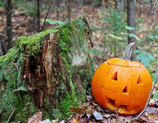 Hardwick Trails Pumpkin Walk